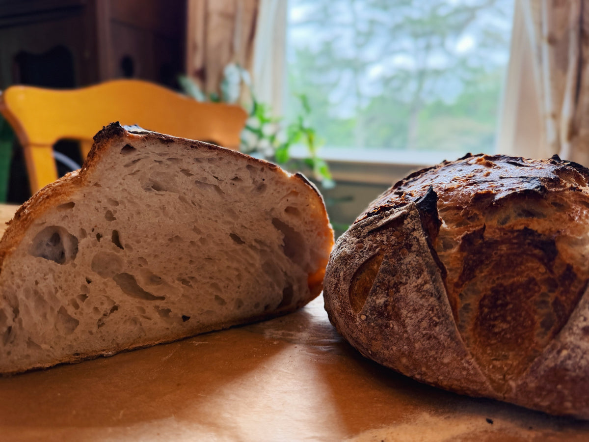 "Rosie" Dehydrated Sourdough Starter (Shipped)