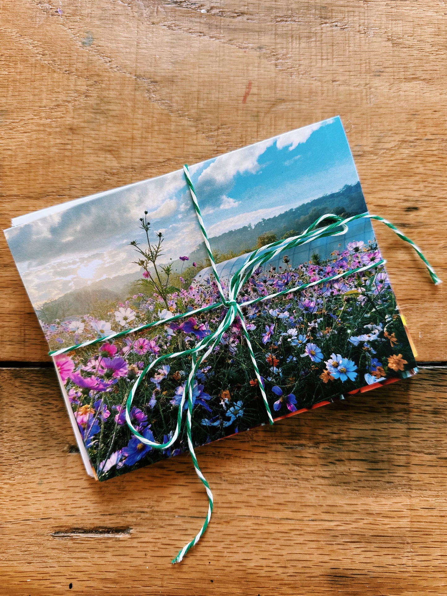 Greeting Card Set - Flowers