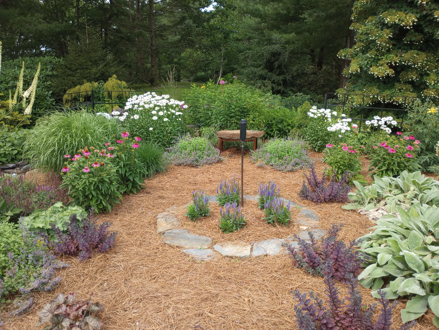 Garden Planning Workshop for Beginners
