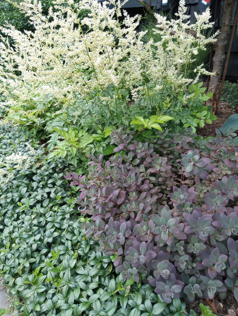 Garden Planning Workshop for Beginners