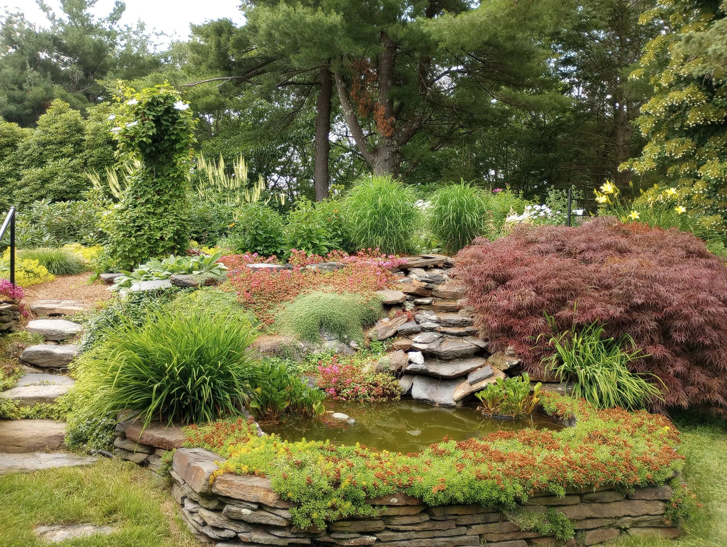 Garden Planning Workshop for Beginners