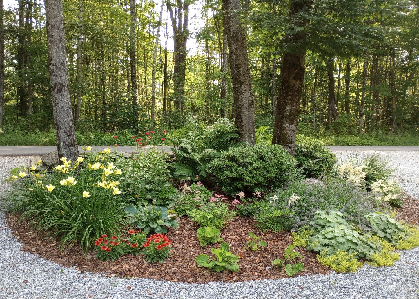Garden Planning Workshop for Beginners