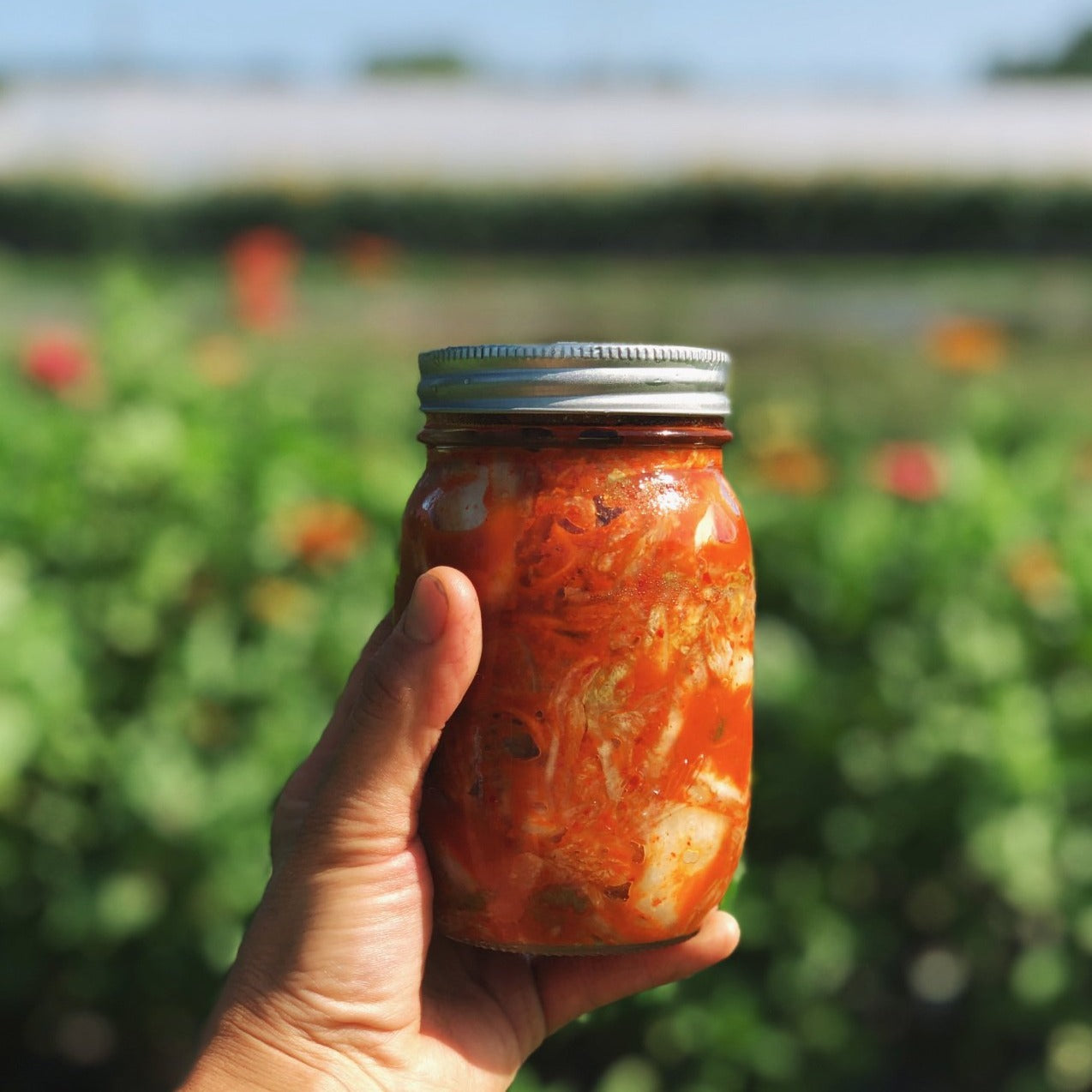 Authentic Korean Kimchi
