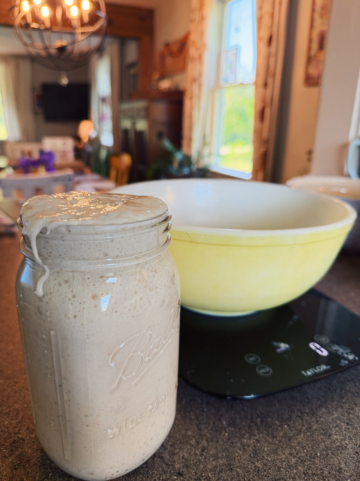 "Rosie" Dehydrated Sourdough Starter (Shipped)