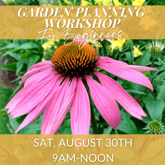 Garden Planning Workshop for Beginners