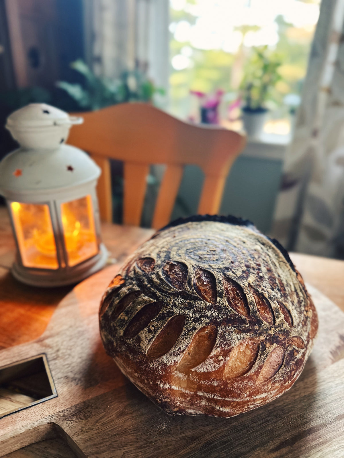 "Rosie" Dehydrated Sourdough Starter (Shipped)